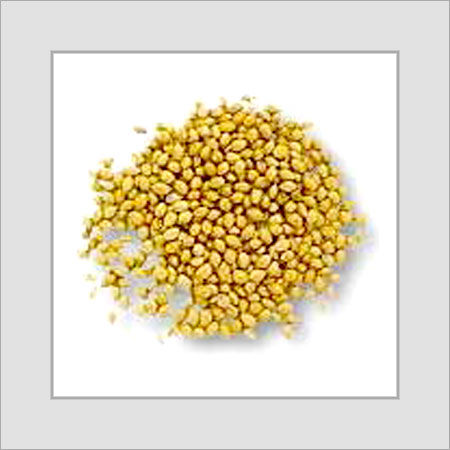 Light Yellow Coriander Seeds (Dhania Beej)