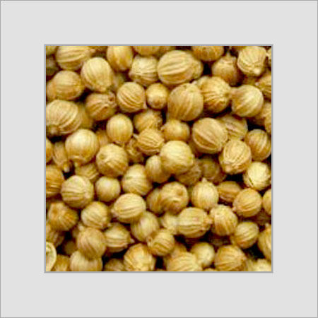 Coriander Seeds - Purity 99.9% , Light Yellow Color, Round Shape, Ideal for Cooking