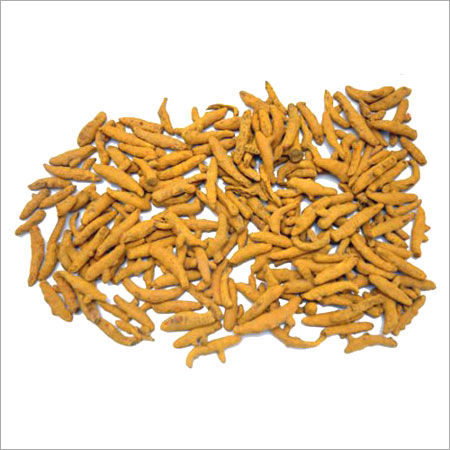 Turmeric Finger - Organic, Dried Whole Root | Antiseptic Properties, Supports Quick Wound Healing, Versatile for Beauty Creams and Cosmetics