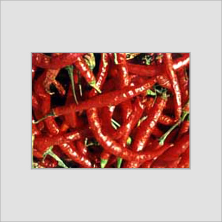 Indian Origin Red Chillies