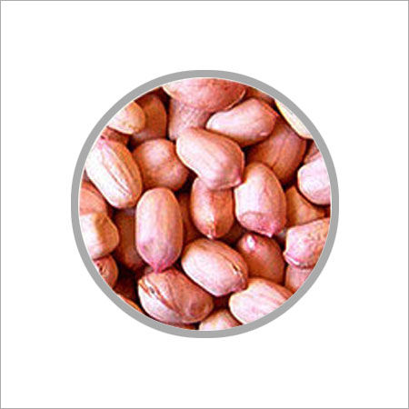 Rich in Taste Groundnuts