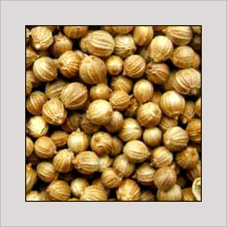Coriander Seeds (Dhania Beej)