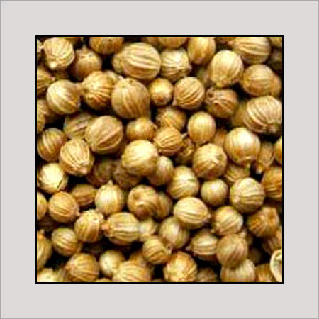 Light Yellow Coriander Seeds (Dhania Beej)