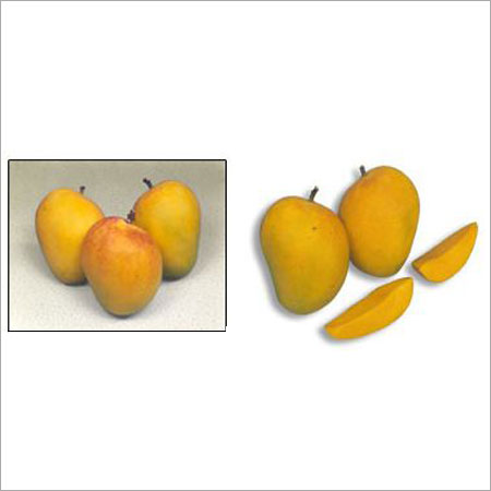 Fresh and Natural Mangoes