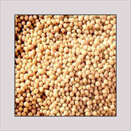 Light Yellow Mustard Seed (Sarso Beej)