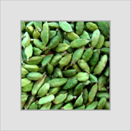 Cardamom - Premium Herbal Extract Blend, Rich in Ancient Healing Properties, Customized Formulations Available