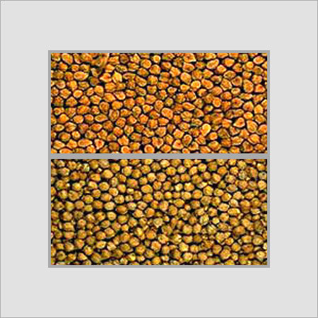 Dehydrated Chickpeas