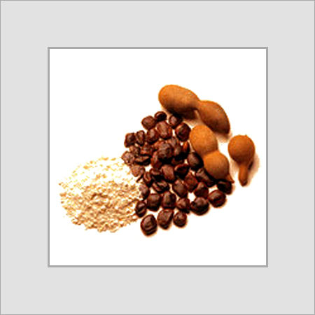 Deoiled Tamarind Kernel Powder - Fine Powder, Ideal for Textile Sizing and Soil Stabilization, Versatile Applications in Adhesives and Soap Manufacturing