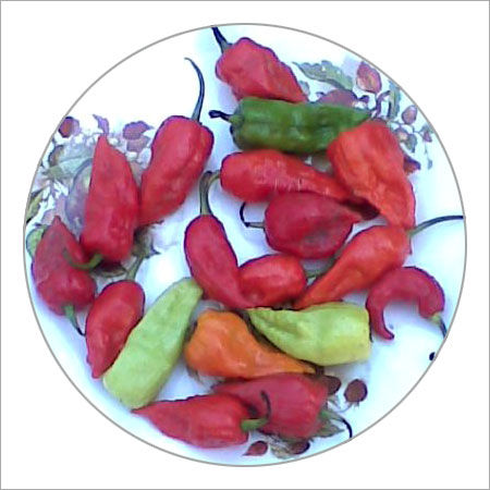 Fresh Bhut Jolokia Chilli