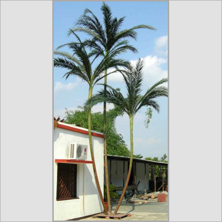 Preserved Green Palm Trees Size: Various Sizes Available