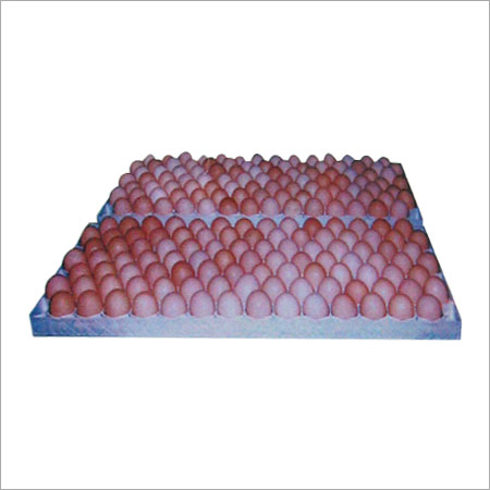 Plastic Egg Setting Tray
