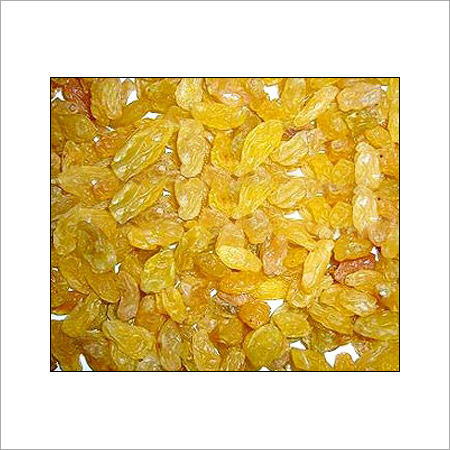 Golden Raisins - Oven-Dried Thompson Seedless Grapes | Sulfur-Treated for Long-Lasting Freshness, Naturally Sweet Flavor