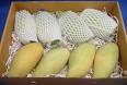 Delicious Taste Thai Mango - 175-250 g, 8-10 cm Size , Sweet Green Non-Glutinous Whole Fruit
