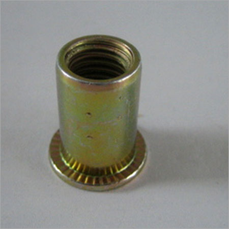 Flat Head Round Body Rivet Nut