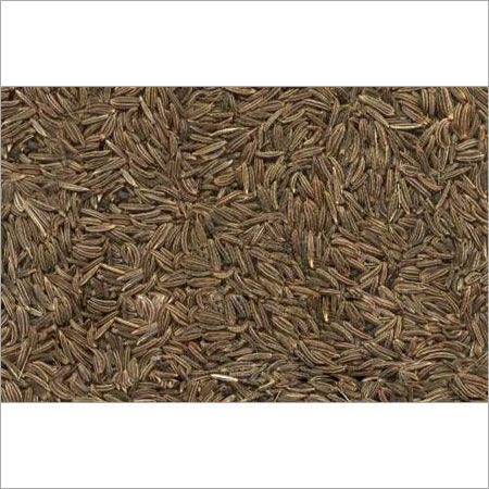 Caraway Seeds