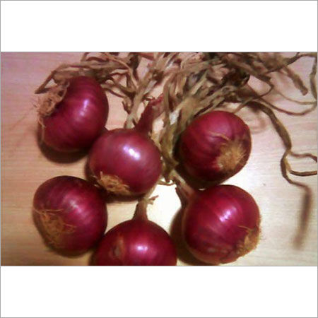 Bangalore Rose Onions