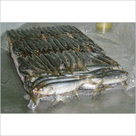 Sardine