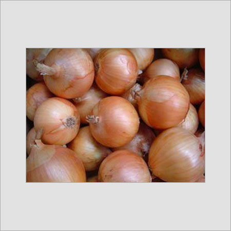 Fresh Pink Onions - Food Grade, Round Shape, 6-8 cm | No Artificial Flavor, No Preservatives, Vital Vitamins C & B-6