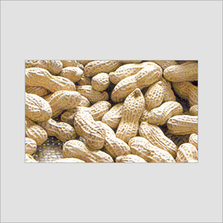 Rich In Taste Groundnuts Grade: A