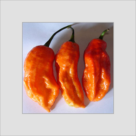 World'S Hottest Chilli