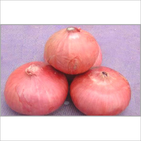 Red Onion