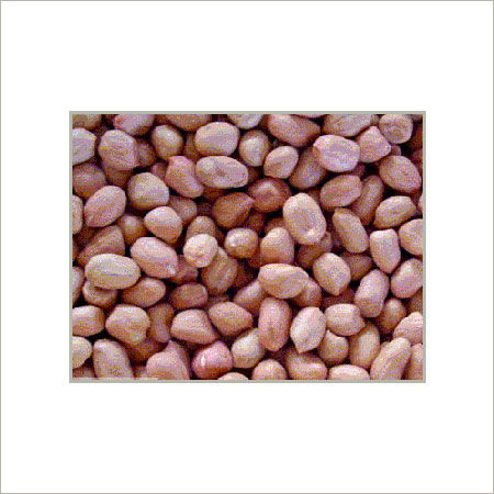 Rich Taste Groundnut Kernal 