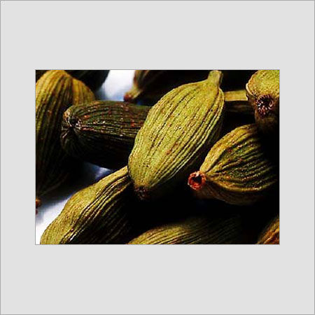 Cardamom Oil