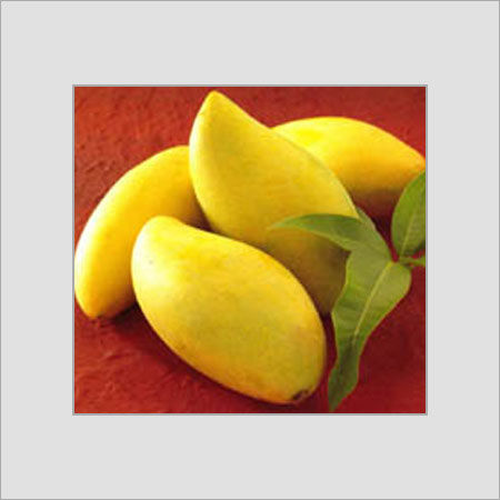 Common High Fiber Kesar Mangoes