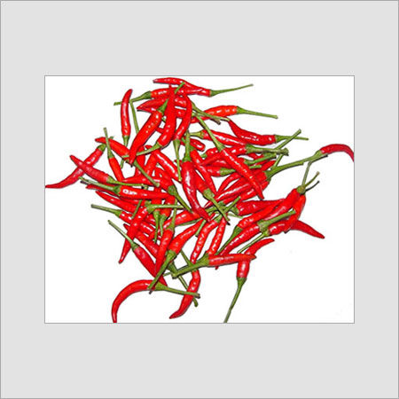Raw Red Chilli for Cooking