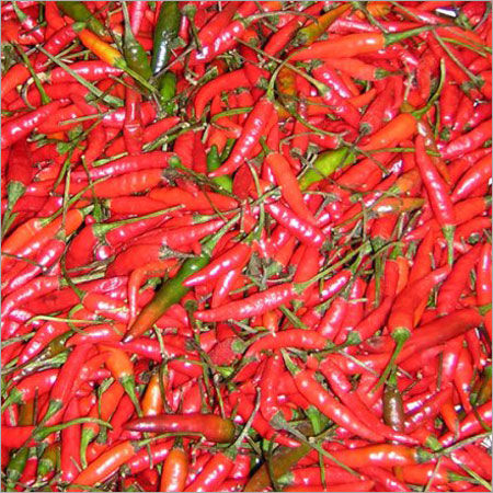 Red Chilli