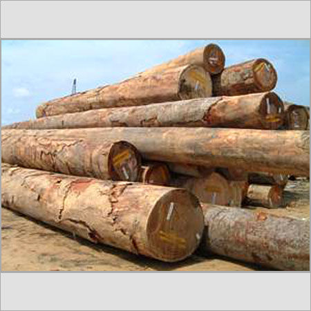 Sawn Timber - High-Quality Logs Processed to Superior Standards | Export-Ready, Best-in-Class for Evolving Industry Demands