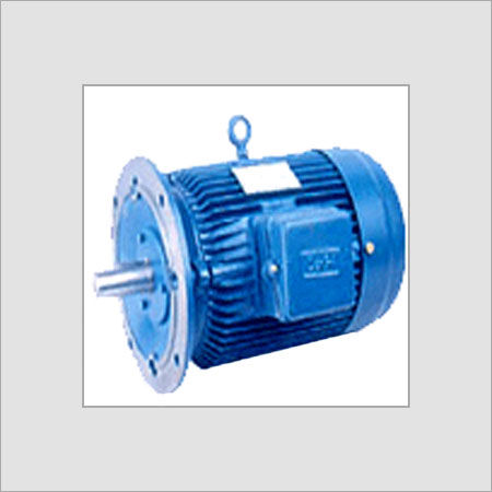 Vertical Flanged Motor