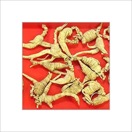 American Ginseng Root Extract  Ingredients: Herbs