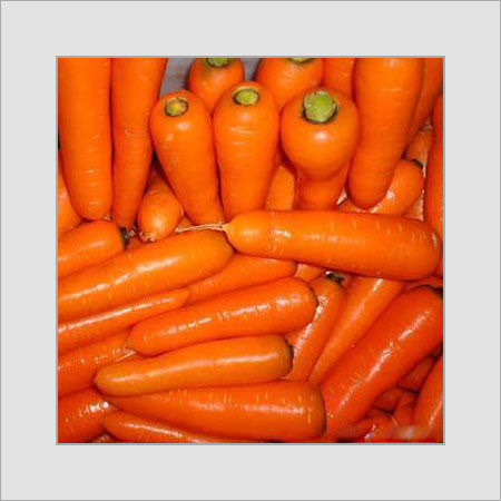 Carrot