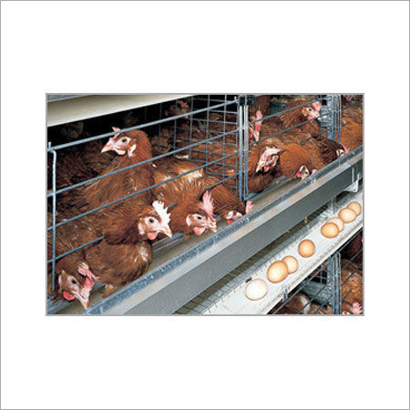 Poultry Chicken Aluminum Cage