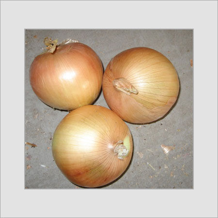 Yellow Onion