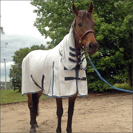 White Economical Waterproof Horse Covers