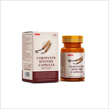 Herbal Cordyceps Sinensis Capsule Age Group: For Adults