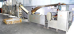 Automatic Applam Making Machine With Dryer