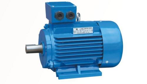 Blue Y2 Series Electric Motor