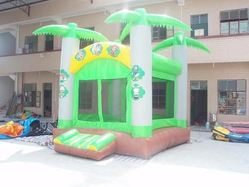 Inflatable Amusement Park