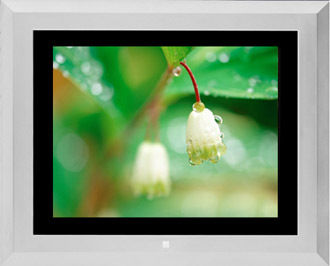 7 Inch Digital Photo Frame