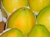 Fresh Sweet Natural Papaya