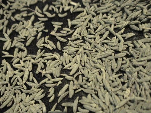 Fine Lucknowi Fennel Seed