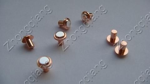 Special Bimetal Contact Rivets