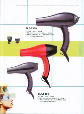 Professional Hair Drier