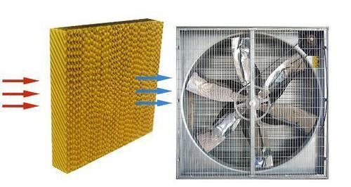 Heavy Duty Ventilation Fan - Big Air Volume, Low Noise, Long Life | High Efficiency for Poultry Houses, Greenhouses, Factories, Supermarkets, Dining Houses, Stadiums