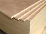 Environmental Friendly Heavy Duty Commercial Plywood