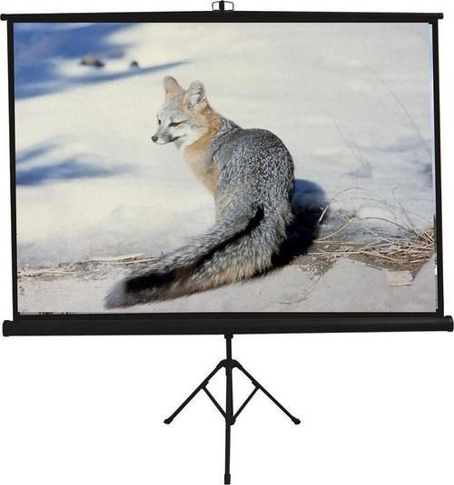 Tripod Projector Screen