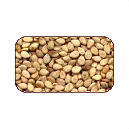 Natural White Sesame Seeds